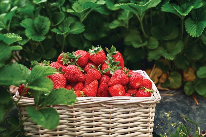 Volkswagen Experiences: Of Highways and Hills